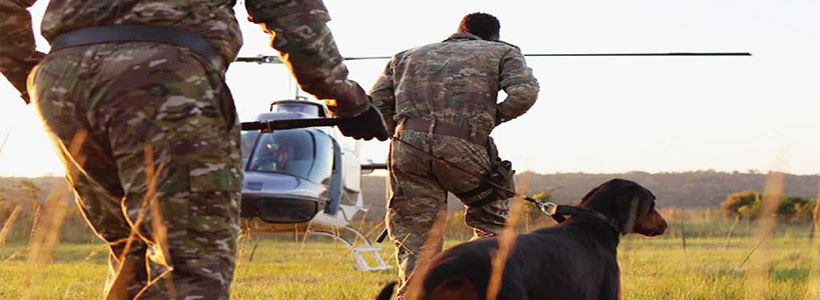 K9 anti poaching unit in the Greater Kruger Park