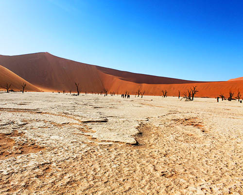 You must go to Deadvlei when you visit Namibia Deadvlei Namib-Naukluft Park Namibia