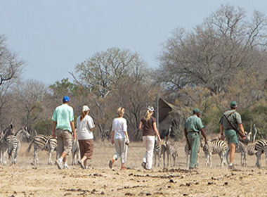 Plains Camp @ Rhino Walking Safari