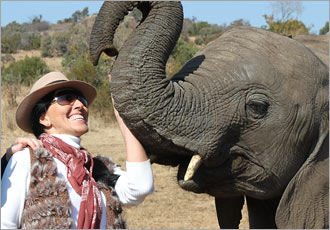 One Day elephant walk experience and aerial cable car ride at Haartebeespoort Dam
