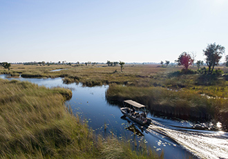 Camp Moremi