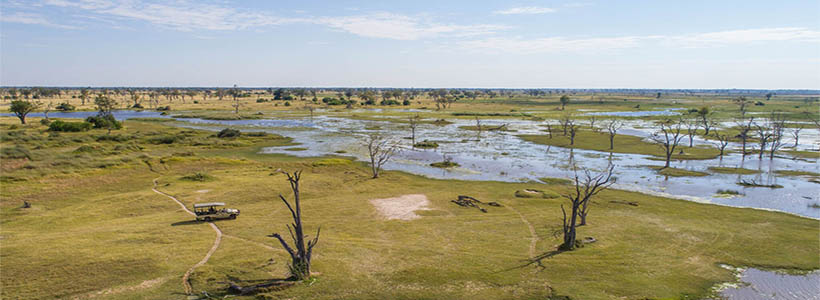 Camp Moremi