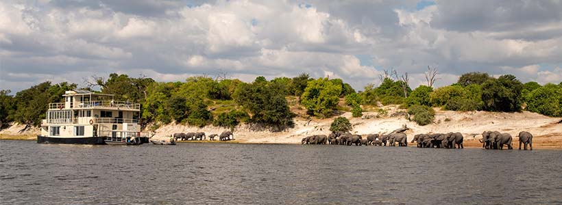 Luxury houseboat safari cruise on Chobe River aboard Zambezi Queen with wildlife viewing