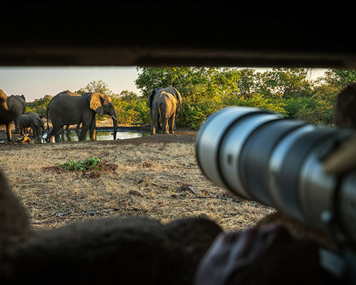The Lala sleepout hide is something unique Mashatu in Botswana’s Northern Tuli Game Reserve has developed the Lala Limpopo sleepout hide