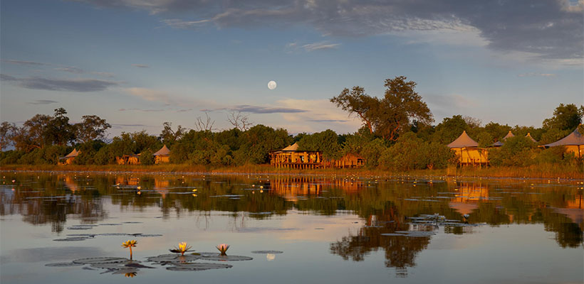 This lush, fertile area attracts a high density of predators, including lions and endangered African wild dogs. Okavango Delta fly in Safari Botswana