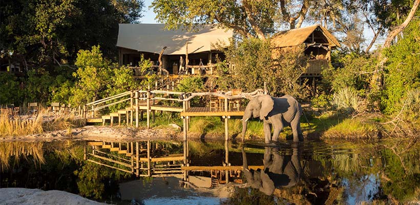 There are other regular visitors at the lodge besides our guests Okavango Delta Fly-In Safari