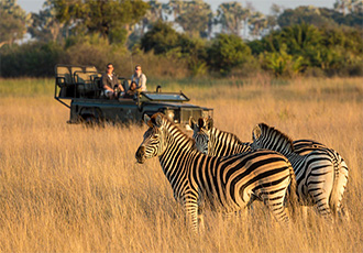 Open vehicle game drive from Little Tubu Okavango Delta Fly-In Safari