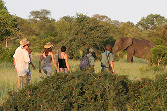 Plains Camp @ Rhino Walking Safaris is located in the Kruger National Park