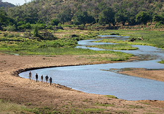 Pafuri Walking Safari