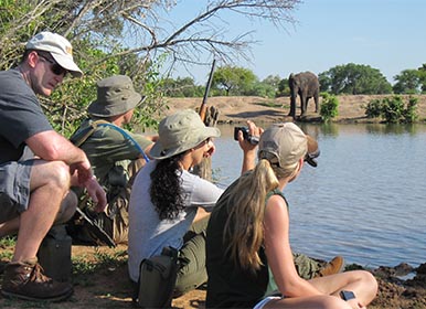 Game walk at Bateleur Safari Camp