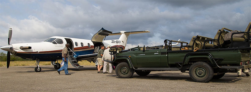 Kruger Park fly in safari